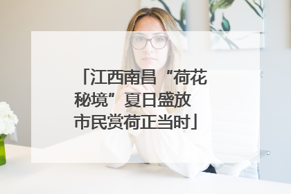 江西南昌“荷花秘境”夏日盛放 市民赏荷正当时