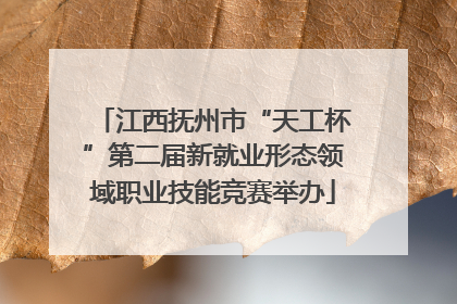 江西抚州市“天工杯”第二届新就业形态领域职业技能竞赛举办