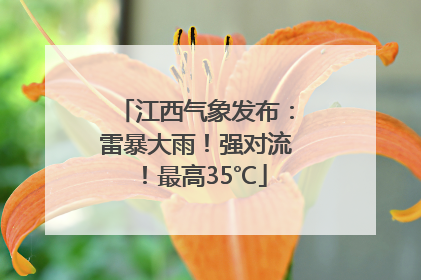 江西气象发布：雷暴大雨！强对流！最高35℃