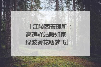 江陵西管理所：高速驿站暖如家 绿波葵花助梦飞