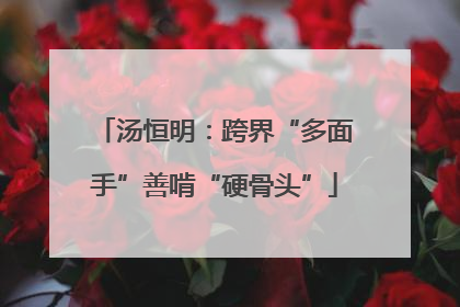 汤恒明：跨界“多面手”善啃“硬骨头”