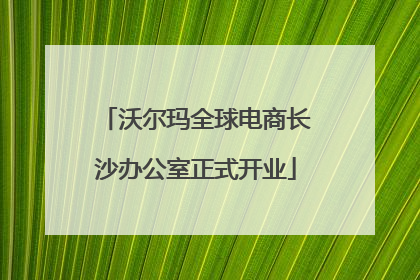 沃尔玛全球电商长沙办公室正式开业