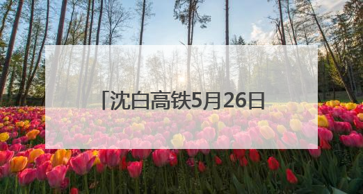 沈白高铁5月26日将进入联调联试阶段