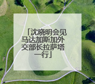 沈晓明会见马达加斯加外交部长拉萨塔一行