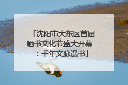 沈阳市大东区首届晒书文化节盛大开幕：千年文脉遇书