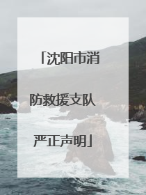 沈阳市消防救援支队严正声明