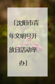 沈阳市青年文明号开放日活动举办