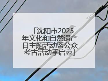 沈阳市2025年文化和自然遗产日主题活动暨公众考古活动季启幕