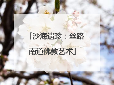 沙海遗珍：丝路南道佛教艺术