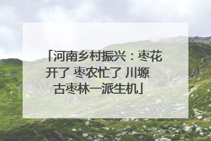 河南乡村振兴：枣花开了 枣农忙了 川塬古枣林一派生机
