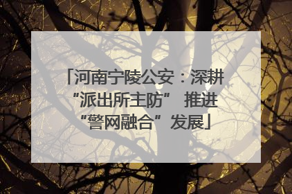河南宁陵公安：深耕“派出所主防” 推进“警网融合”发展