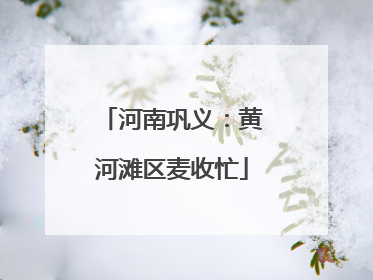 河南巩义：黄河滩区麦收忙