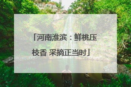 河南淮滨：鲜桃压枝香 采摘正当时