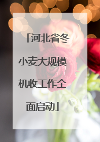 河北省冬小麦大规模机收工作全面启动