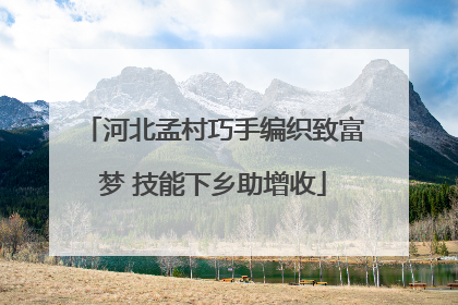 河北孟村巧手编织致富梦 技能下乡助增收