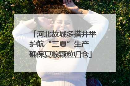 河北故城多措并举护航“三夏”生产 确保夏粮颗粒归仓