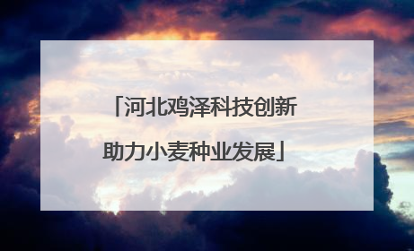 河北鸡泽科技创新助力小麦种业发展
