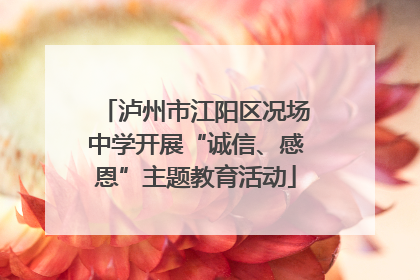 泸州市江阳区况场中学开展“诚信、感恩”主题教育活动