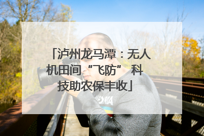 泸州龙马潭：无人机田间“飞防” 科技助农保丰收
