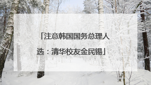 注意韩国国务总理人选：清华校友金民锡