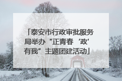 泰安市行政审批服务局举办“正青春‘政’有我”主题团建活动