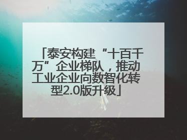泰安构建“十百千万”企业梯队，推动工业企业向数智化转型2.0版升级