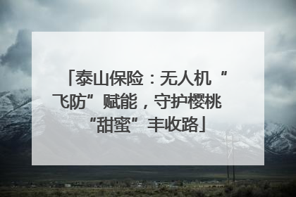 泰山保险：无人机“飞防”赋能，守护樱桃“甜蜜”丰收路