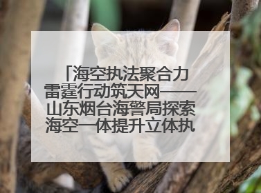 海空执法聚合力 雷霆行动筑天网——山东烟台海警局探索海空一体提升立体执法效能纪实