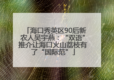 海口秀英区90后新农人吴宇燕：“双语”推介让海口火山荔枝有了“国际范”