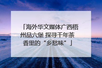 海外华文媒体广西梧州品六堡 探寻千年茶香里的“乡愁味”
