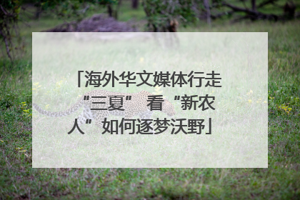 海外华文媒体行走“三夏” 看“新农人”如何逐梦沃野