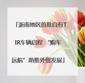 浙南地区首批自有TIR车辆启程 “购车远航”助推外贸发展