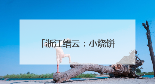 浙江缙云：小烧饼何以飘香全世界？