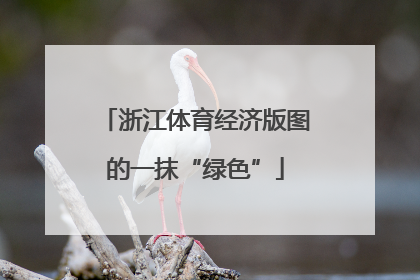 浙江体育经济版图的一抹“绿色”
