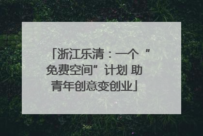 浙江乐清：一个“免费空间”计划 助青年创意变创业