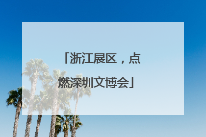 浙江展区，点燃深圳文博会