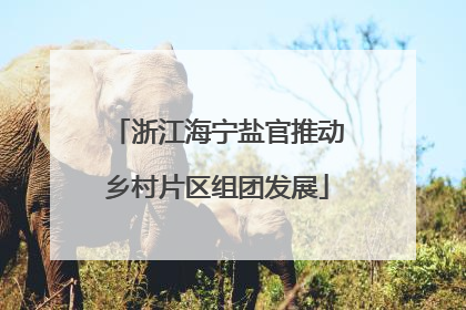 浙江海宁盐官推动乡村片区组团发展