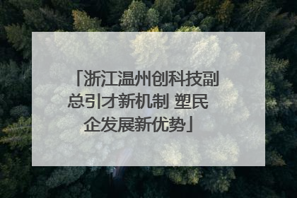 浙江温州创科技副总引才新机制 塑民企发展新优势