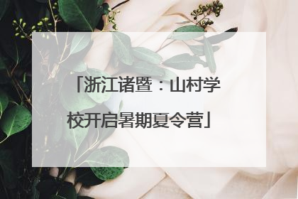 浙江诸暨：山村学校开启暑期夏令营