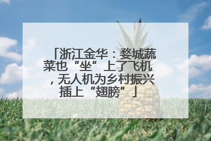 浙江金华：婺城蔬菜也“坐”上了飞机，无人机为乡村振兴插上“翅膀”