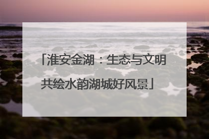 淮安金湖：生态与文明共绘水韵湖城好风景