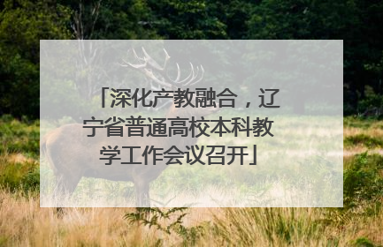 深化产教融合，辽宁省普通高校本科教学工作会议召开