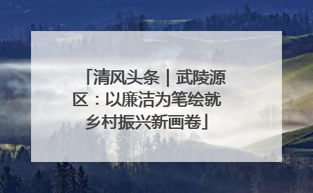 清风头条｜武陵源区：以廉洁为笔绘就乡村振兴新画卷