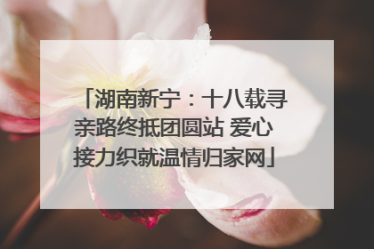湖南新宁：十八载寻亲路终抵团圆站 爱心接力织就温情归家网