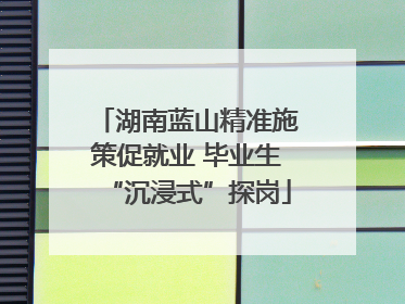 湖南蓝山精准施策促就业 毕业生“沉浸式”探岗