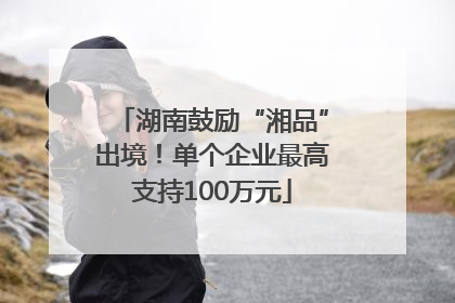 湖南鼓励“湘品”出境！单个企业最高支持100万元