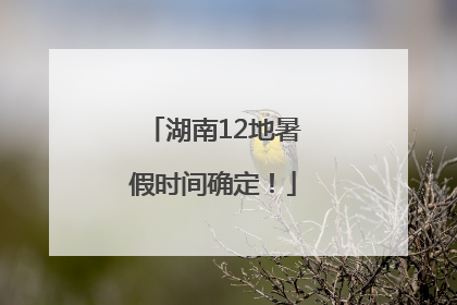 湖南12地暑假时间确定！