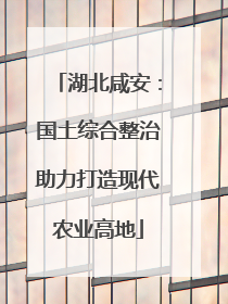 湖北咸安：国土综合整治助力打造现代农业高地