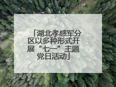 湖北孝感军分区以多种形式开展“七一”主题党日活动
