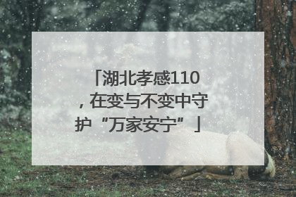 湖北孝感110，在变与不变中守护“万家安宁”